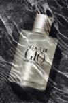 Tester Giorgio Armani Acqua Di Gio Pour Homme 100 ML Parfüm  P1095