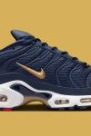 Nike Air Max Plus Ahead Of FIFA World Cup Qatar 2022 The French Football Federation  A124