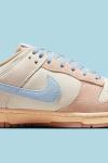 Nike Dunk Low Light Armory Blue  A110