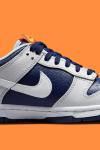 Nike Dunk Low UV Light   A133