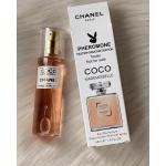 Coco Chanel 45 ml Kadın Çanta Boy Parfum  PC9