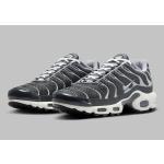 Nike Air Max Plus Cool Grey Illuminates  A113